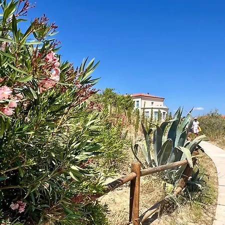 Apartment Lodge4 Seafront With Private Patio, Family Friendly, Mins From Pisa Leaning Tower Calambrone